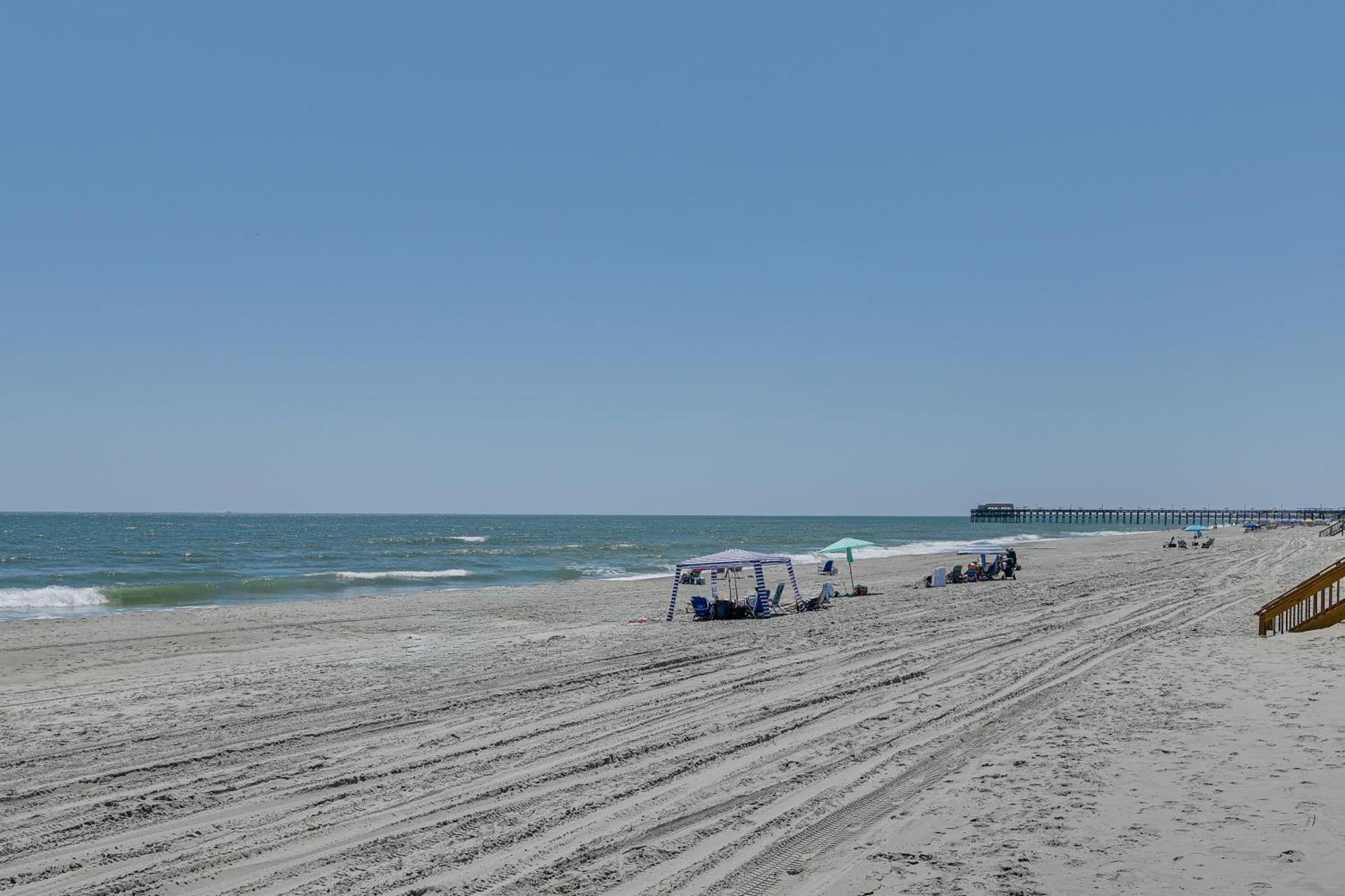 Coastal Condo On Beach With Community Pool Access! 미를 비치 외부 사진